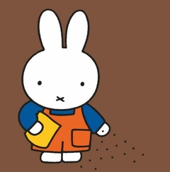 El jardín de Miffy en internet