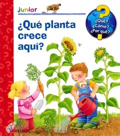 ¿Qué planta crece aquí?