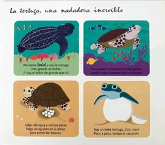 Los animales marinos al dedillo - comprar online