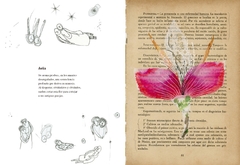 Vademecum de la Flora Naturalis Imaginaria - comprar online