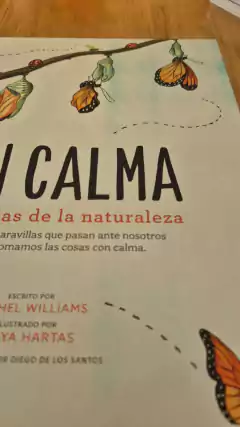 Con calma (con detalle) en internet
