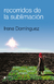 RECORRIDOS DE LA SUBLIMACIÓN, de Irene Dominguez - comprar online