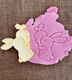 Pascuas N