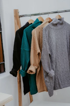 Imagen de Polerón India