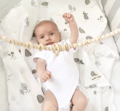 Imagen de Gimnasio |Cunero de Madera