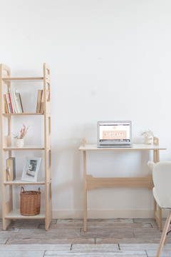 Escritorio Anidando en internet