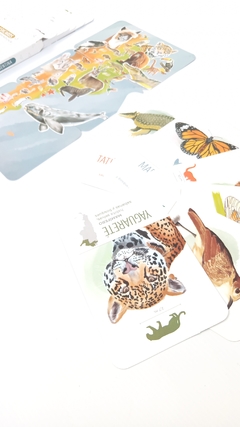 Flashcards Animales de Argentina - Anidando Deco