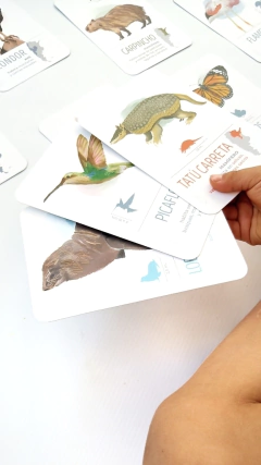 Imagen de Flashcards Animales de Argentina