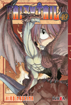 FAIRY TAIL 49