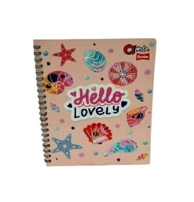 CUADERNO ARGOLLADO GRANDE NIÑA ECONÓMICO - comprar online