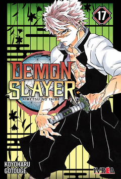 Demon Slayer: Kimetsu No Yaiba 17