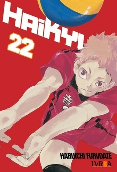 Haikyu!! 22