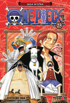 One Piece 25