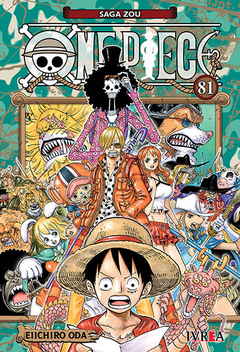 One Piece 81