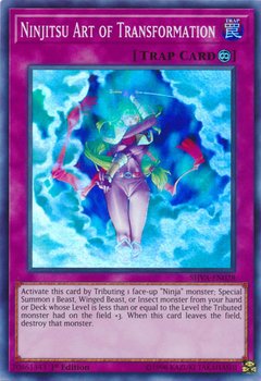 Ninjitsu Art of Transformation - SHVA-EN028 - Super Rare