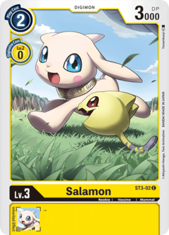 Salamon - ST3-02 - Common