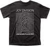 Remera Joy Division Pleasures