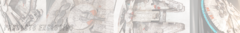 Banner de la categoría HALCÓN MILENARIO