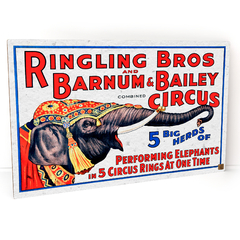 Circus Elefante