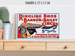 Circus Elefante en internet