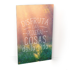Disfruta