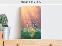 Disfruta en internet