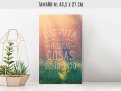 Disfruta - Renovo Colgables