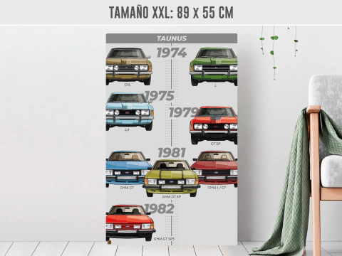 Cuadro Evolución Taunus - tienda online