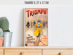 Triumph Cycles en internet