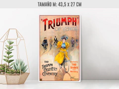 Triumph Cycles - Renovo Colgables