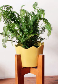 Maceta Tulip grande en internet