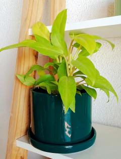 Maceta Gea con plato - Lunar♡deco