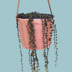 Maceta Gemma colgante - comprar online