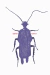 Remera Franz Kafka - comprar online