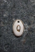 Collar Letras Dorado - tienda online