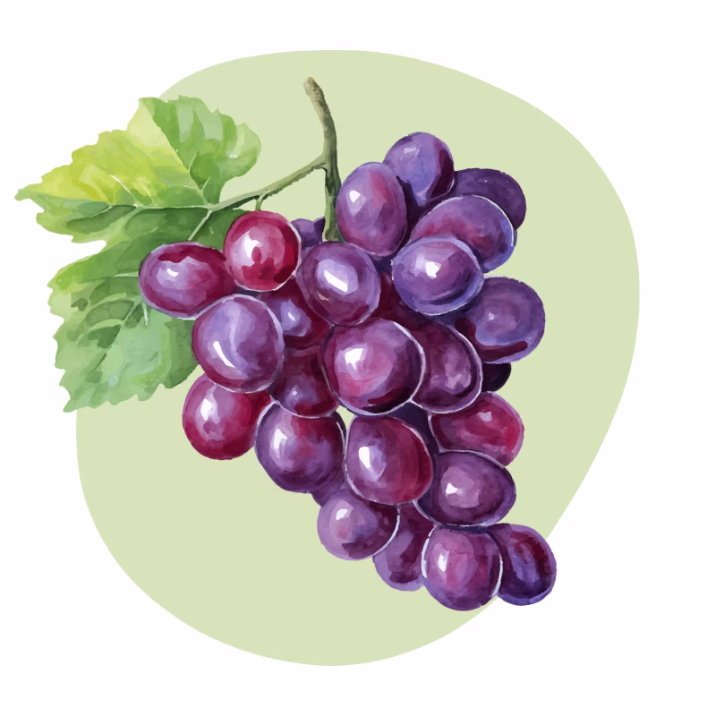 C&eacute;lulas madre vegetales