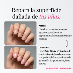 Base Reparadora (con Células Madre) en internet