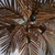 lampara colgante botanica palmera palm beach