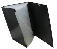 CLASIFICADOR TAMAÑO A4 - 12 DIVISIONES - comprar online