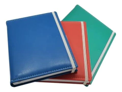 Agenda Nivel 10 2026 Bonjour Euro Diaria 16x22 Cm - comprar online