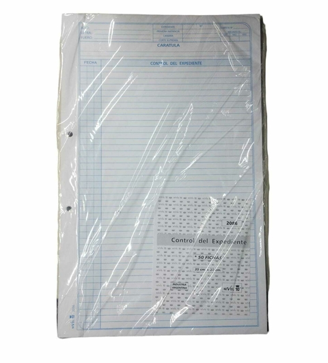FICHAS NIVEL 10 CONTROL DEL EXPEDIENTE 2086 X 50 FICHAS 35CM X 22 CM