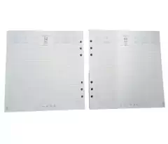 Repuesto Agenda Morgan Escritorio 2026 Diario Solo Dias 21x22 en internet