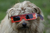 Gafas eclipse - comprar online
