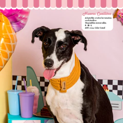 Cuellitos tejidos - comprar online