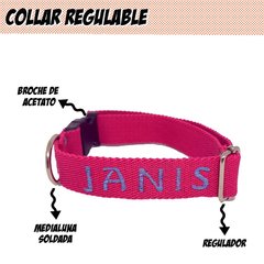 Collar Bordado DogIdeas en internet