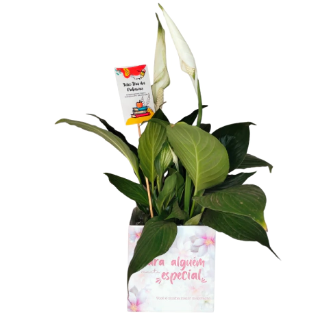 A EDUCAÇÃO É UMA SEMENTE QUE FLORECE