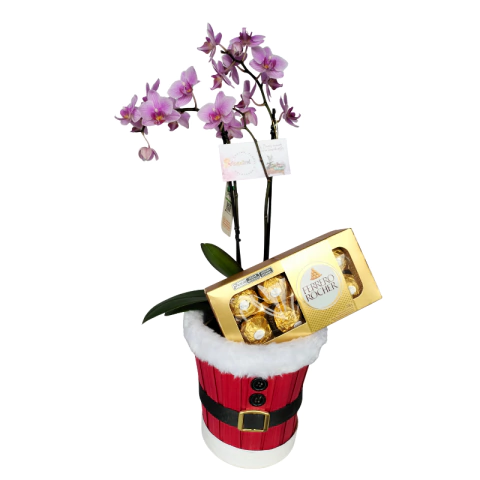 ARRANJO FLÔR E SABOR