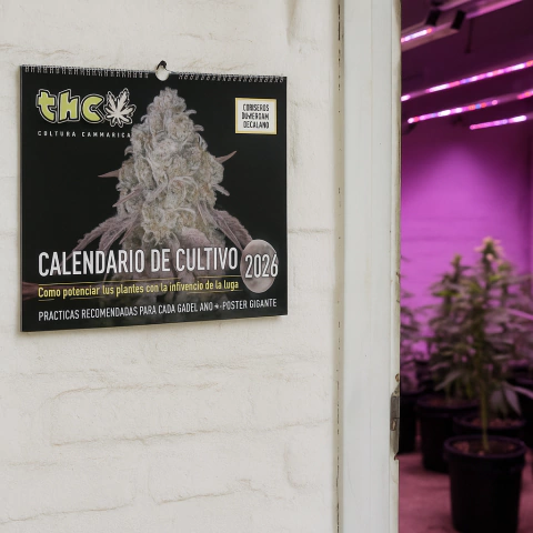 Calendario de cultivo 2026 - comprar online