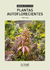 Pack Completo de Libros: Cultivo y Uso Medicinal del Cannabis - tienda online