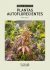 COMBO AMANTES DEL CULTIVO - Revista THC - Tienda Online de Revistas, Libros, Merchandising y muchas cosas más.